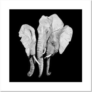 Elephant family Posters and Art